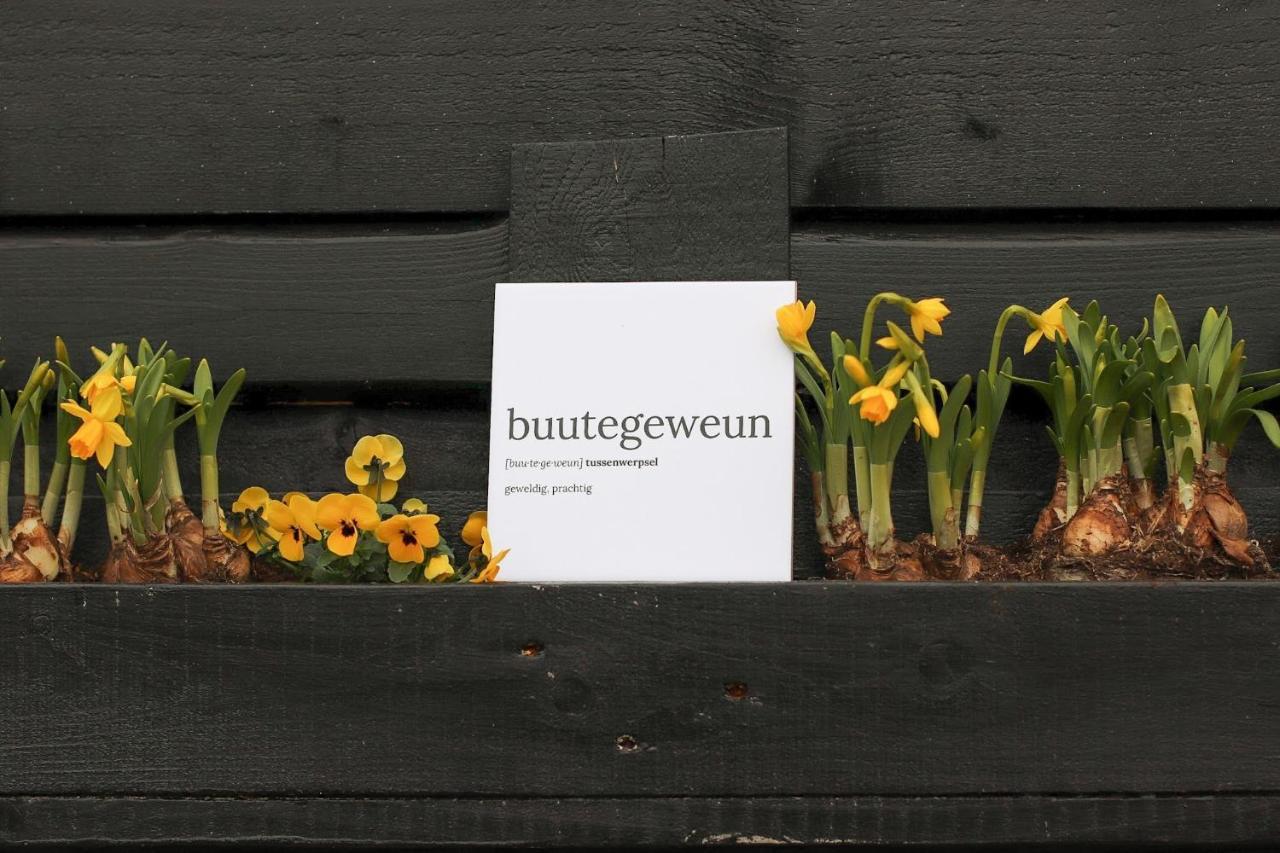 B&B Buutegeweun Sommelsdijk Εξωτερικό φωτογραφία